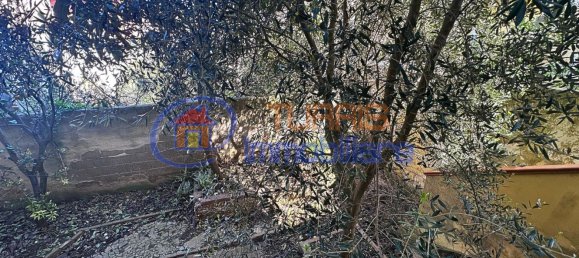 3 rooms Apartment in Porto Torres, Italy No. 68846 35