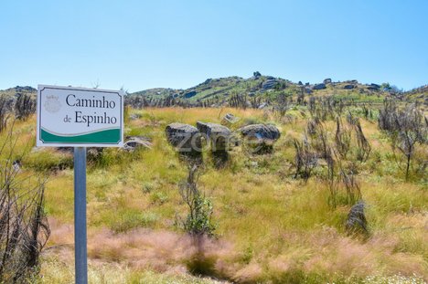 2000m² Land in Amarante, Portugal No. 15544