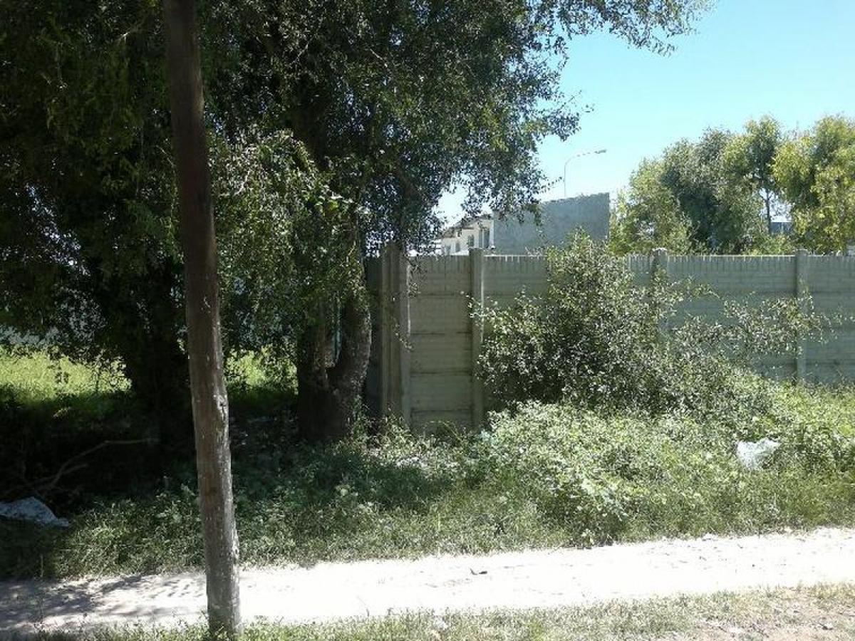 Terreno en Berazategui, Argentina No. 115119