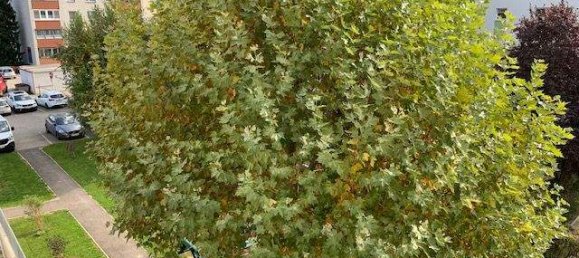 3 rooms Apartment in Krems an der Donau, Austria No. 31964 17