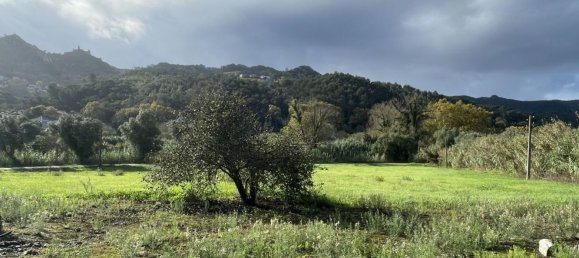 Casa de 4 dormitorios en Sintra, Portugal No. 127369 8