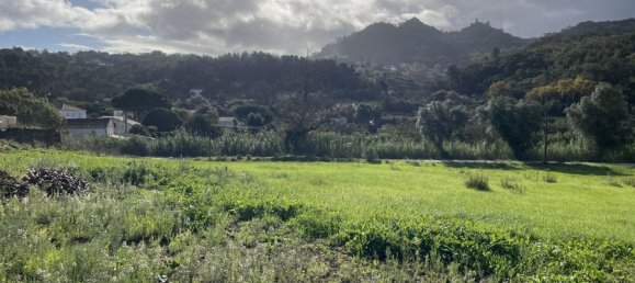 Casa de 4 dormitorios en Sintra, Portugal No. 127369 7