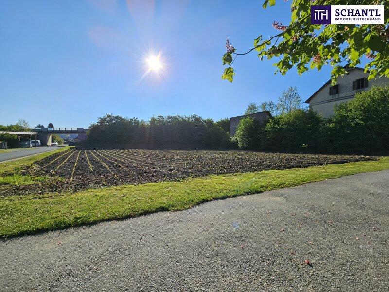 1074m² Land in Stainz, Austria No. 213526