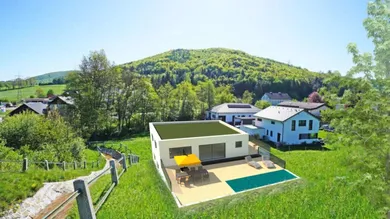 Terrain à Wolfsgraben, Austria No. 119591