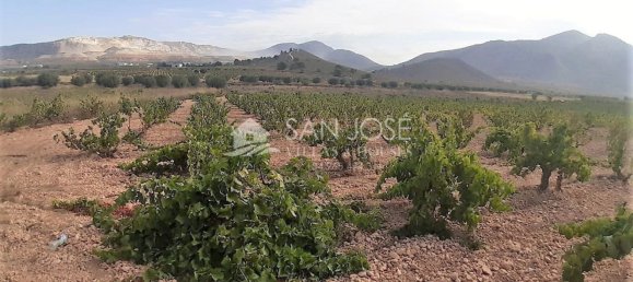 قطعة أرض في Abanilla, Spain رقم 108045 2