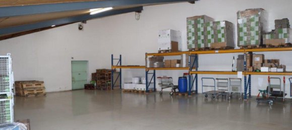 4 Schlafzimmer Bauernhof in Rheinland-Pfalz, Germany, Nr. 350985 11