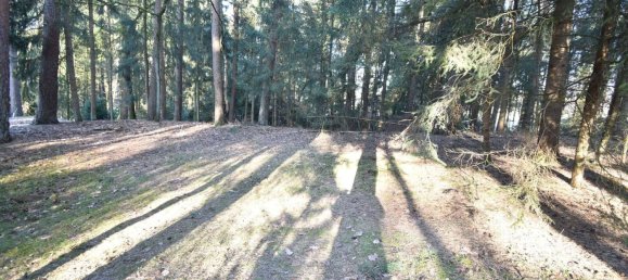 Земельный участок с 3 комнатами в Мюнстер, Германия № 8571 3