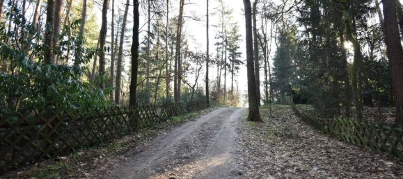 Земельный участок с 3 комнатами в Мюнстер, Германия № 8571 2