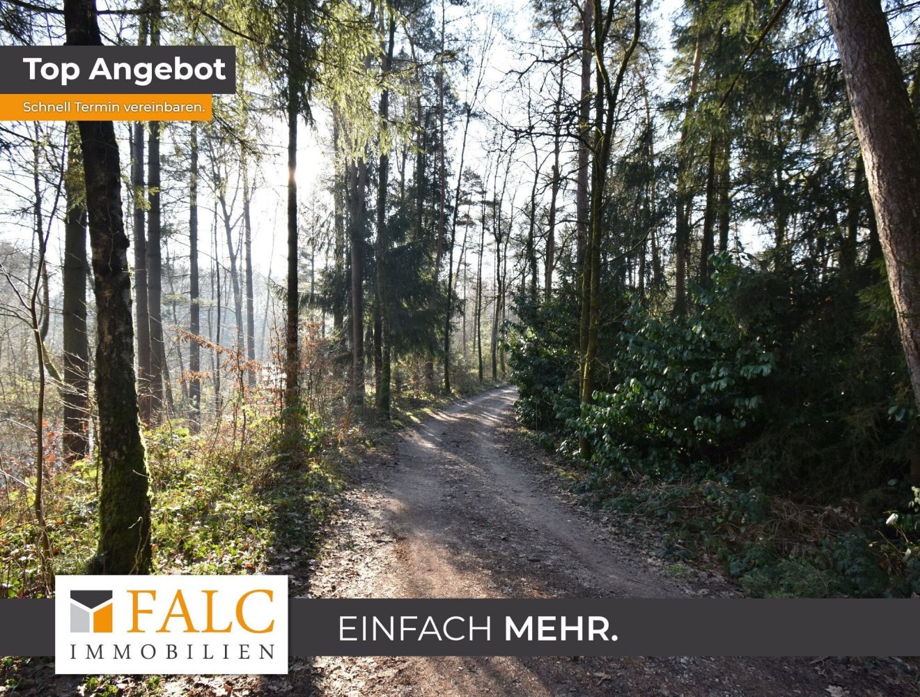 Земельный участок с 3 комнатами в Мюнстер, Германия № 8571