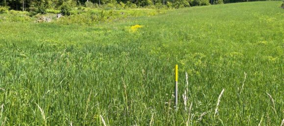 Terreno em Finkenstein am Faaker See, Austria N.º 51365 2