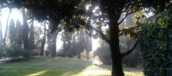 15-salle Villa à Rome, Italy No. 256875 26