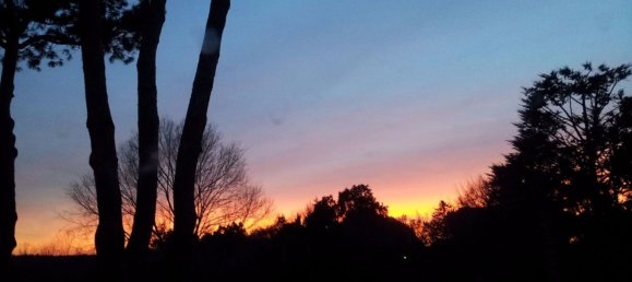 15-salle Villa à Rome, Italy No. 256875 24