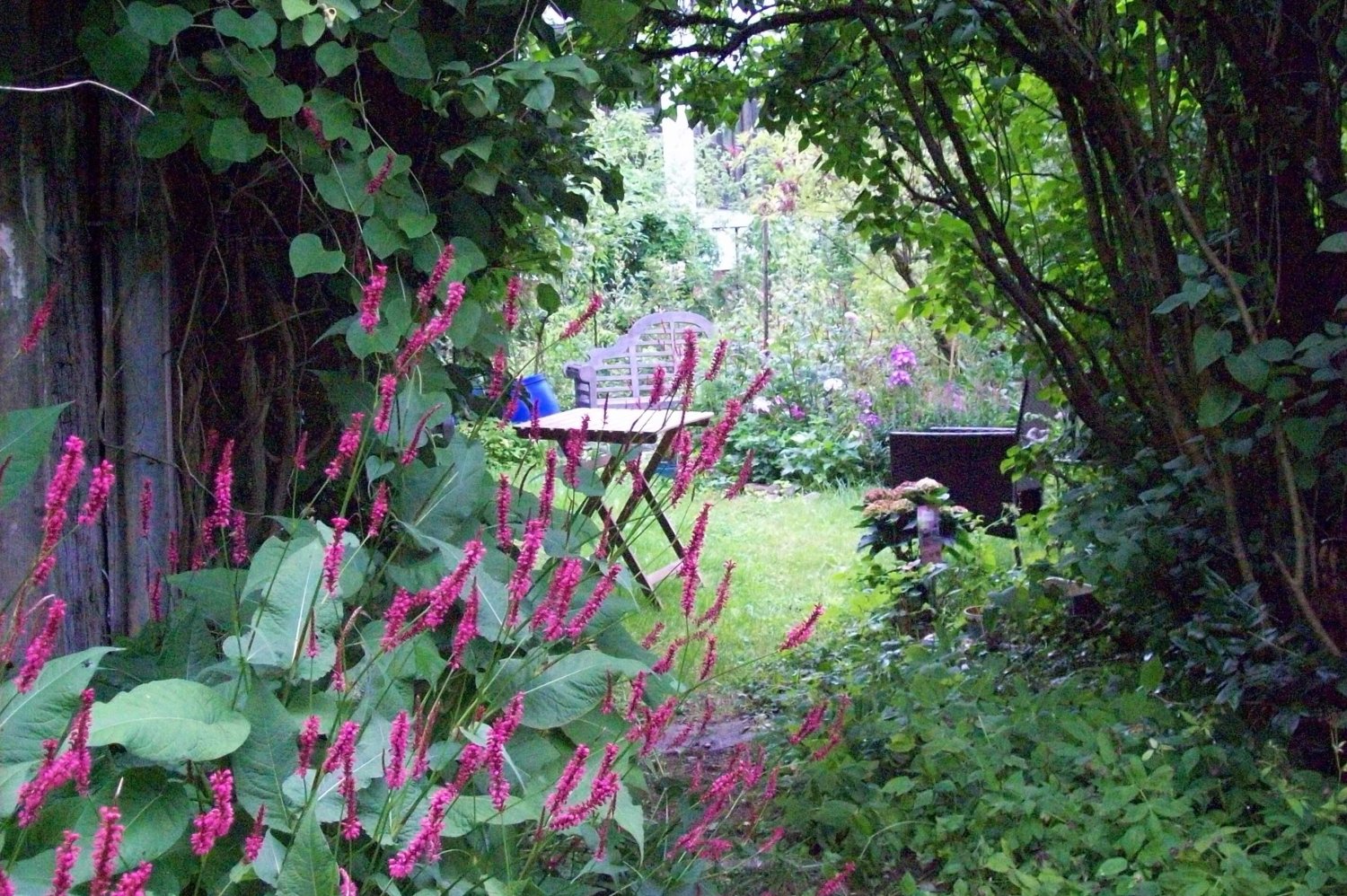 10 rooms Townhouse in Emmendingen, Germany No. 362844