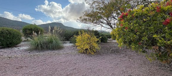 5 Schlafzimmer Haus in Pinoso, Spain, Nr. 92030 24