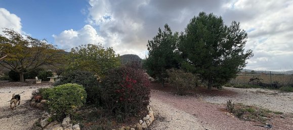 5 Schlafzimmer Haus in Pinoso, Spain, Nr. 92030 29