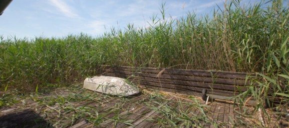 4 rooms House in Rust, Austria No. 156773 21