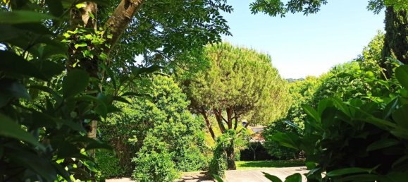 1 bedroom Apartment in Agen, France No. 105446 11