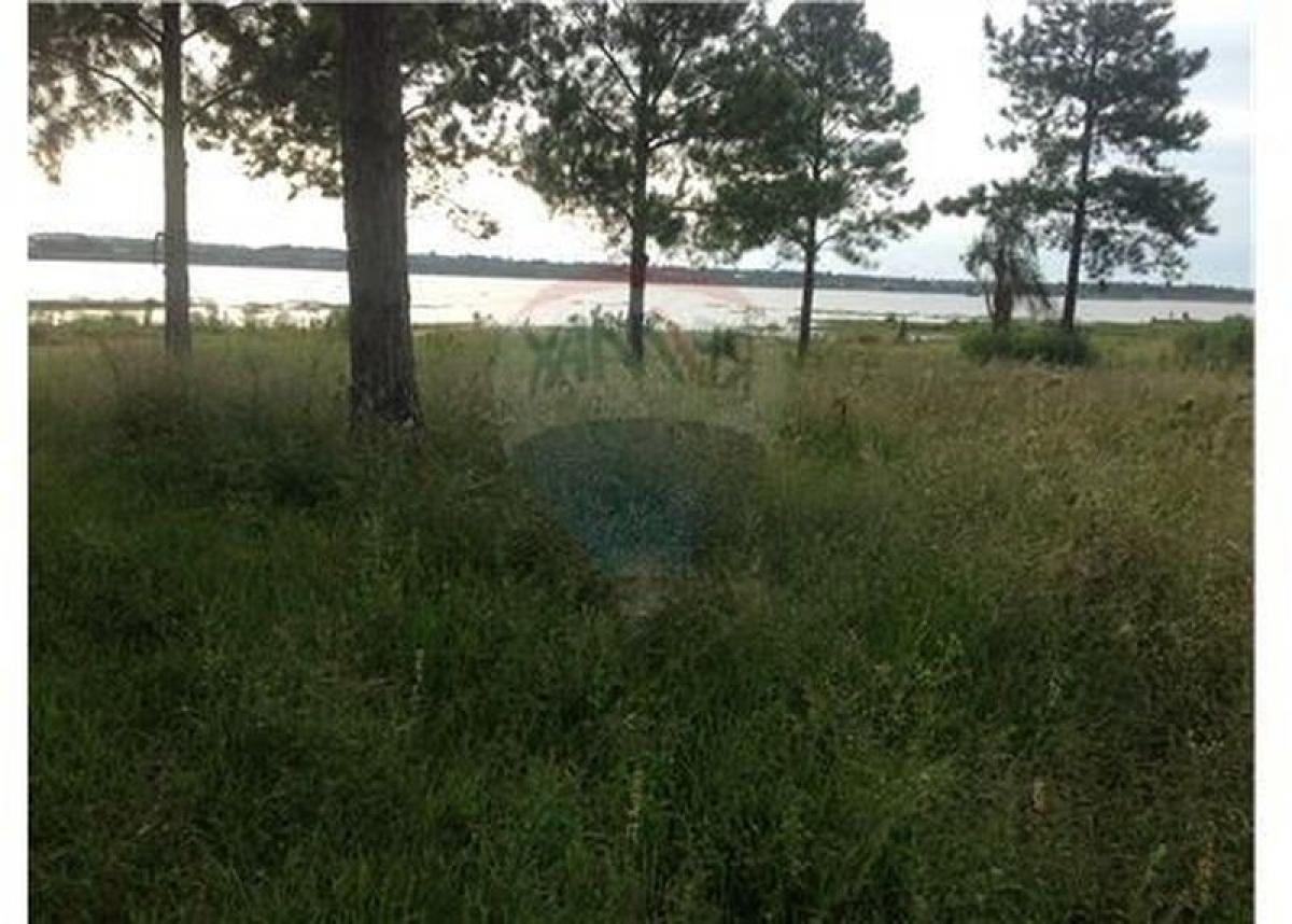  Land in Misiones, Argentina No. 50478