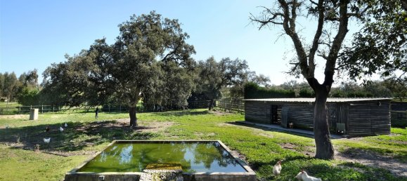 10 bedrooms Land in Benavente, Portugal No. 141868 31