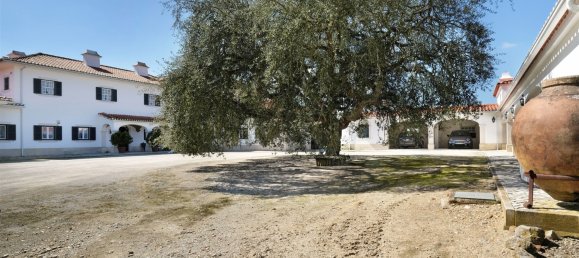 10 bedrooms Land in Benavente, Portugal No. 141868 9