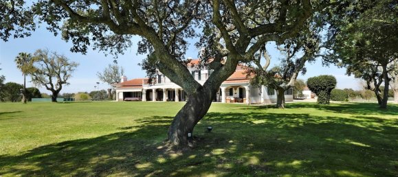 10 bedrooms Land in Benavente, Portugal No. 141868 8