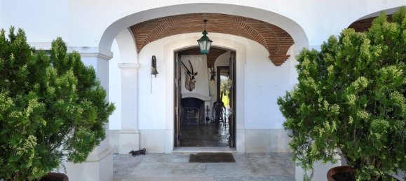 10 bedrooms Land in Benavente, Portugal No. 141868 15