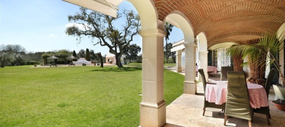 10 bedrooms Land in Benavente, Portugal No. 141868 13