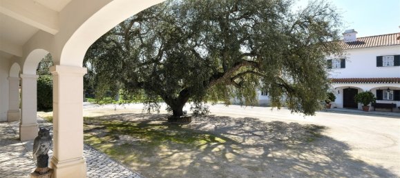 10 bedrooms Land in Benavente, Portugal No. 141868 16