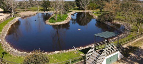 10 bedrooms Land in Benavente, Portugal No. 141868 32