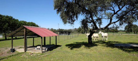 10 bedrooms Land in Benavente, Portugal No. 141868 4