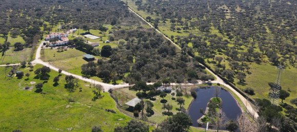 10 bedrooms Land in Benavente, Portugal No. 141868 22