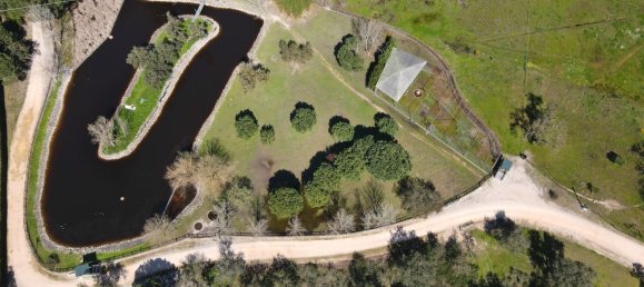 10 bedrooms Land in Benavente, Portugal No. 141868 20