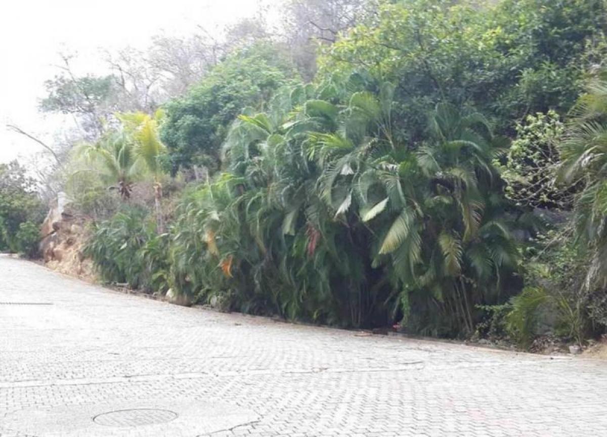 Terrain à Acapulco de Juarez, Mexico No. 110760