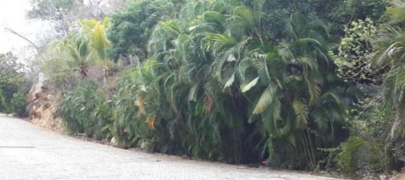 Terrain à Acapulco de Juarez, Mexico No. 110760 2