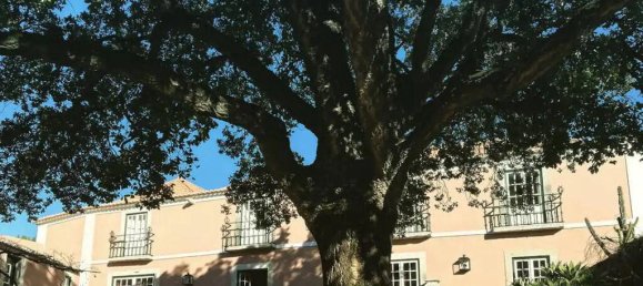 6 Schlafzimmer Haus in Oeiras, Portugal, Nr. 134812 10