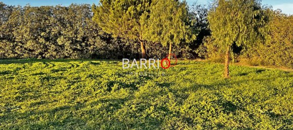 Grundstück in Elne, France, Nr. 282913 8