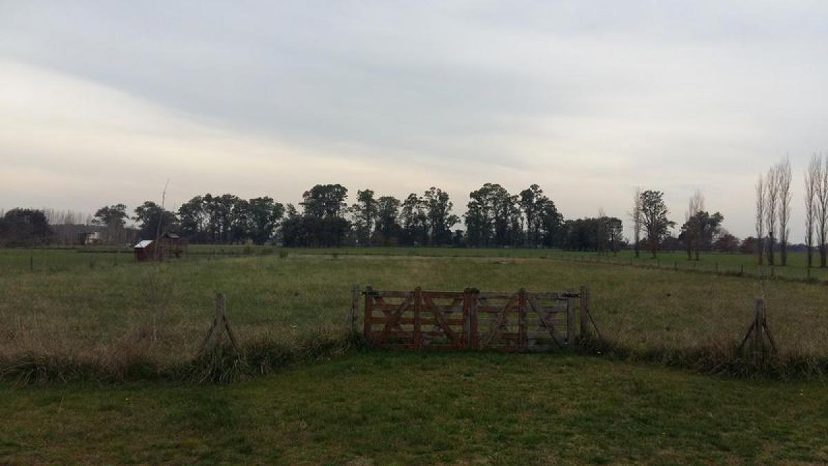 Terreno en Buenos Aires, Argentina No. 113078