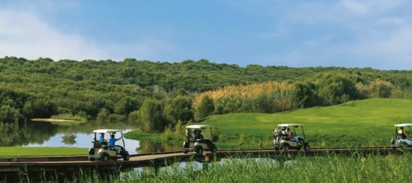 5 bedrooms Townhouse in Al Zorah, UAE No. 102628 4