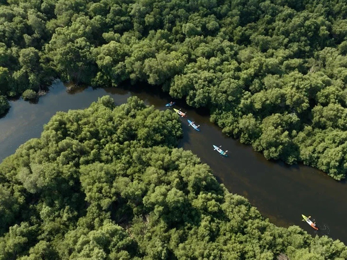 5 bedrooms Townhouse in Al Zorah, UAE No. 102628