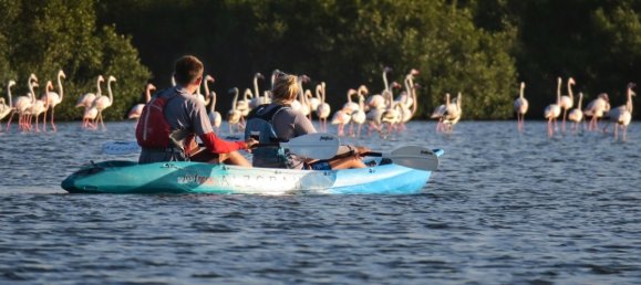 5 bedrooms Townhouse in Al Zorah, UAE No. 102628 6