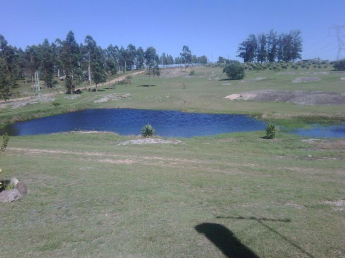 Ферма 160м² в Мальдонадо, Уругвай № 14517