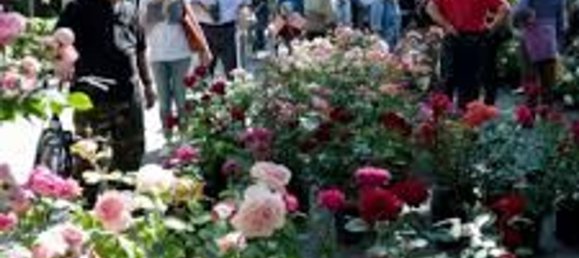 5 rooms Villa in Cervia, Italy No. 131007 21