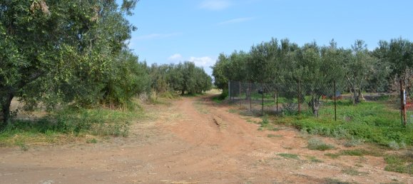 12375m² Hotel in Chalkidiki, Greece No. 6035 2