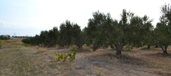 12375m² Hotel in Chalkidiki, Greece No. 6035 6