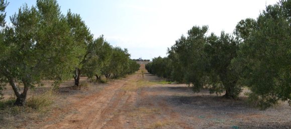 12375m² Hotel in Chalkidiki, Greece No. 6035 4