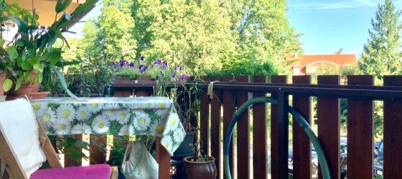 2 rooms Apartment in Dresden, Germany No. 111347 13