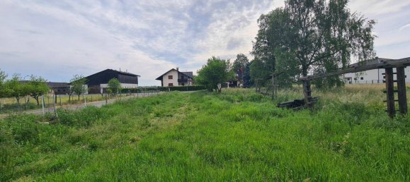 4غرفة منزل في Strass in Steiermark, Austria رقم 174112 19