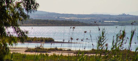 3 Schlafzimmer Villa in La Marina, Spain, Nr. 6341 6