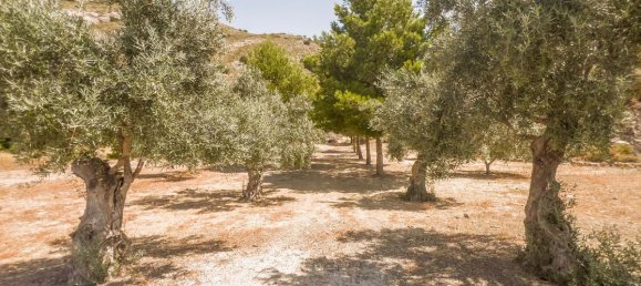 Terreno en Coín, Spain No. 182780 12