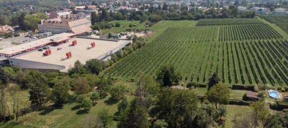 Land in Klosterneuburg, Austria No. 247088 5